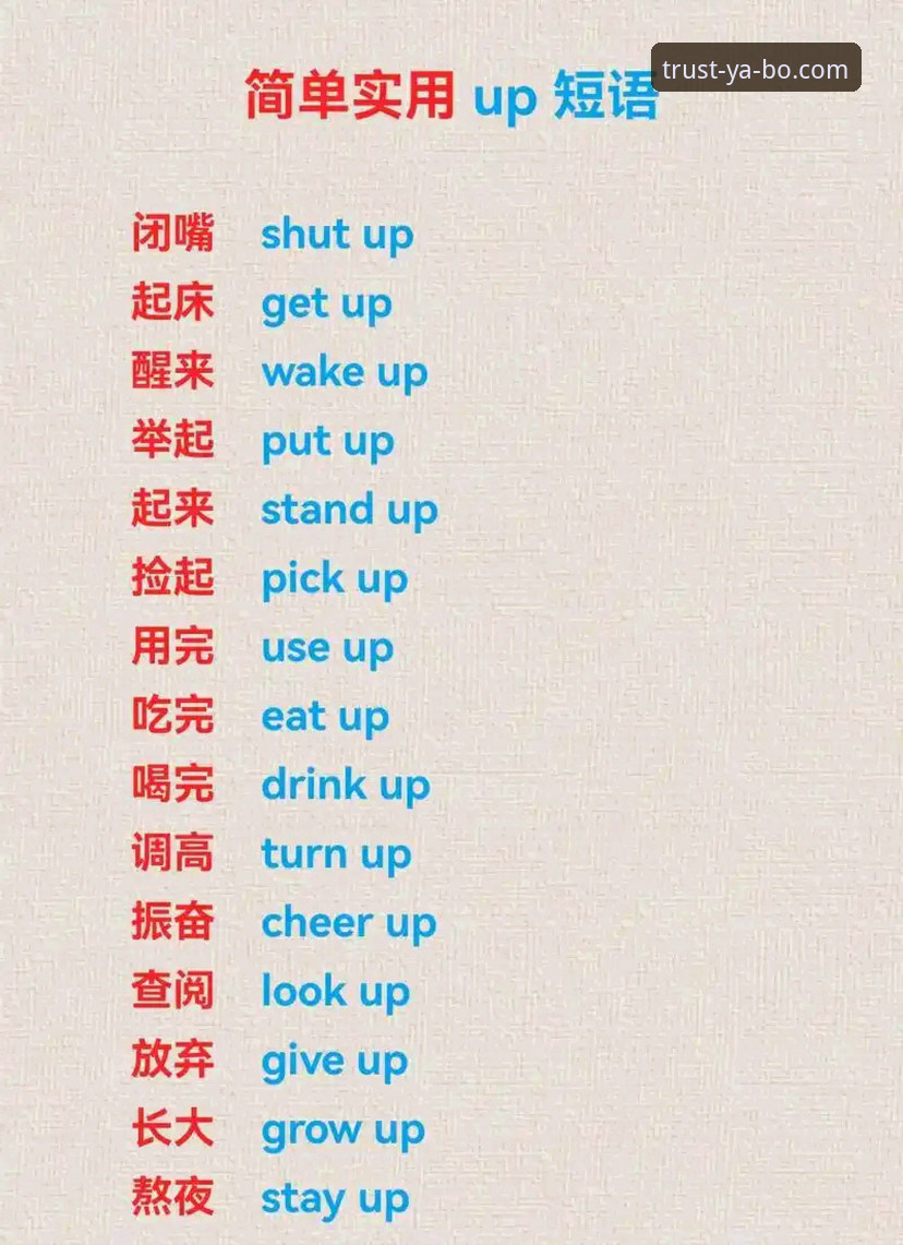 YABO娱乐品牌实用指南：从注册到充值的必备知识